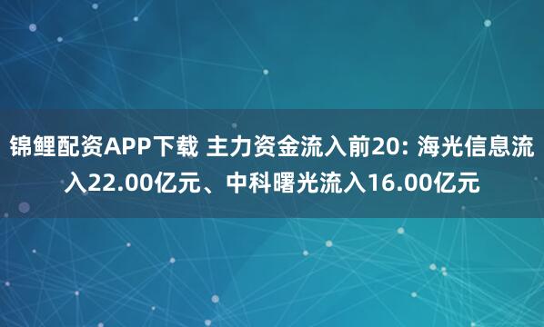 锦鲤配资APP下载 主力资金流入前20: 海光信息流入22.00亿元、中科曙光流入16.00亿元
