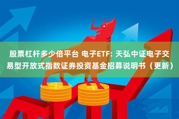 股票杠杆多少倍平台 电子ETF: 天弘中证电子交易型开放式指数证券投资基金招募说明书（更新）