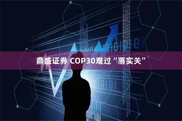 鼎盛证券 COP30难过“落实关”