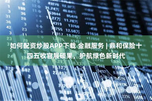 如何配资炒股APP下载 金融服务 | 鼎和保险十四五收官展硕果，护航绿色新时代