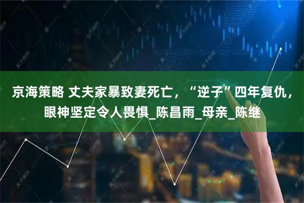 京海策略 丈夫家暴致妻死亡，“逆子”四年复仇，眼神坚定令人畏惧_陈昌雨_母亲_陈继