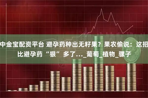 中金宝配资平台 避孕药种出无籽果？果农偷说：这招比避孕药 “狠” 多了…_葡萄_植物_骡子